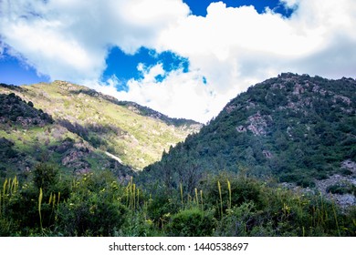 Mountain landscape with trees and clouds