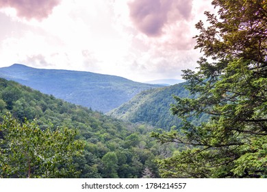 mountain landscape with trees and clouds