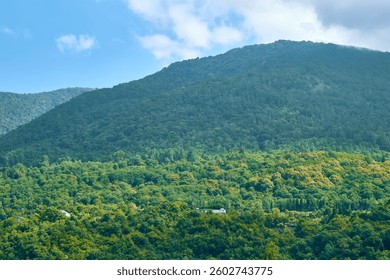 mountain landscape with trees and clouds
