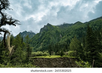 mountain landscape with trees and clouds