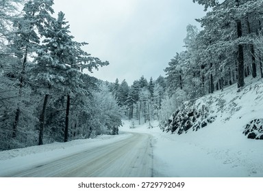 Mountain landscape in the winter with forests and fields covered with snow on Divcibare mountain, popular tourist place in Serbia