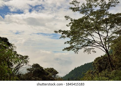 Mountain landscape-Mountain View Resort in the Taichung County,Taiwan.