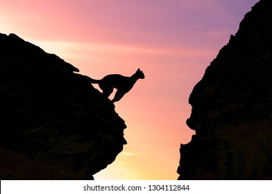 Mountain Lion Jumping Sunrise