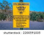 Mountain lion warning at Sabino Canyon State Park in Tucson, Arizona. Sign post regarding the mountain lions with safety precautions against the blurred road and slope background.
