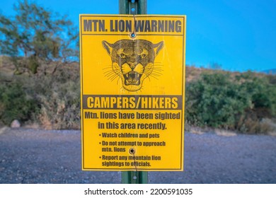 Mountain Lion Warning At Sabino Canyon State Park In Tucson, Arizona. Sign Post Regarding The Mountain Lions With Safety Precautions Against The Blurred Road And Slope Background.