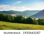 mountain meadow in morning light. countryside springtime landscape with valley in fog behind the forest on the grassy hill. fluffy clouds on a bright blue sky. nature freshness concept