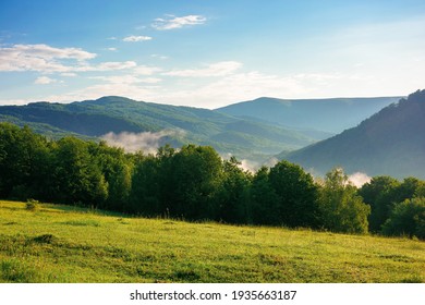 горный луг в утреннем свете. сельский весенний пейзаж с долиной в тумане за лесом на травянистом холме. пушистые облака на ярко-голубом небе. концепция свежести природы