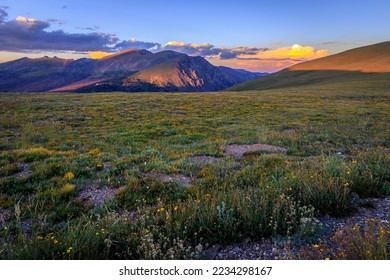 Mountain Meadow Sunset Views from the Trail Ridge Road, Rocky Mountain National Park, Colorado - Powered by Shutterstock