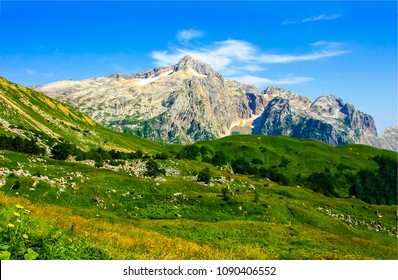 Mountain meadow tree under mountain white top - Shutterstock ID 1090406552