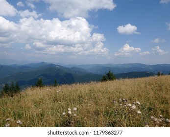 Mountain Meadows, (Borisov - Greater Fatra Range In Slovakia)