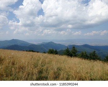 Mountain Meadows, (Borisov - Greater Fatra Range In Slovakia)