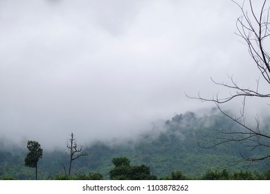 the mountain in the mist