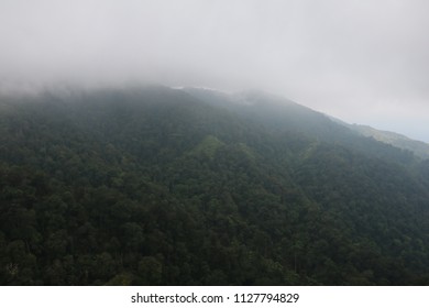 Mountain and Mist