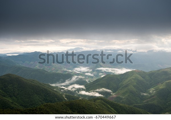 Mountain Mist sea of\
mist