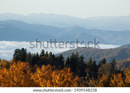 Similar – Bergnebel Umwelt Natur