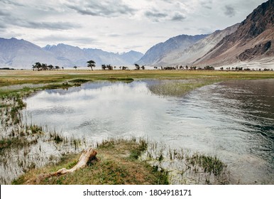 Mountain In The Nubra River Valley, Hunder, India