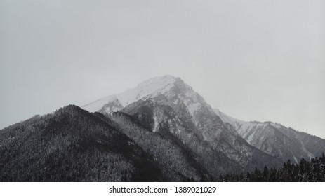 Mountain on a gray background