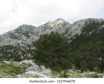 Mountain Orjen Montenegro Scenery From The Top