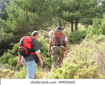 Mountain path 5