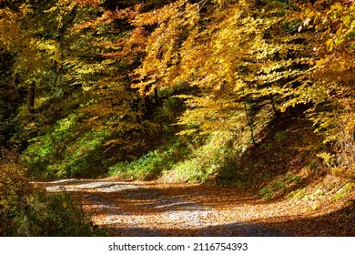Mountain Path in autumn. Beskid Mountains, Poland. - Shutterstock ID 2116754393