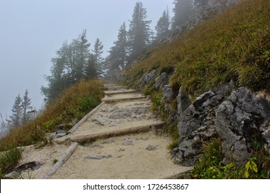 A mountain path between dried up meadows and rocks leading up to a stand of pine trees in the clouds on the Jenner mountain, near the Konigsee in Bavaria, Germany