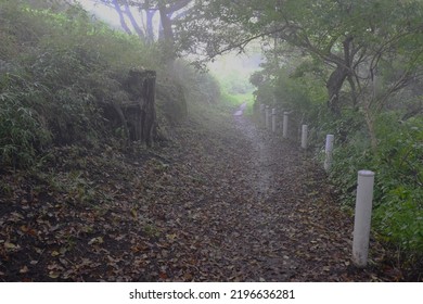 A Mountain Path Covered In Fog. Natural Background Material.