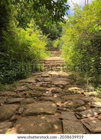 Mountain path in the forest in summer time. Hiking Path In Mountains Area. Forest Background Outside.