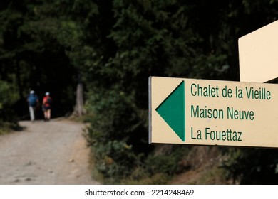 Mountain Path. French Alps.   France. 