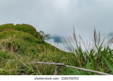 Mountain Peak Above The Sea Of ​​clouds