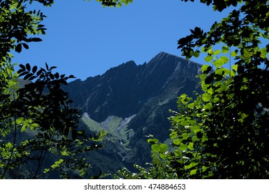 Mountain peak behind the trees