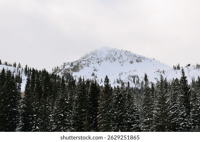 Mountain peak in the clouds with trees