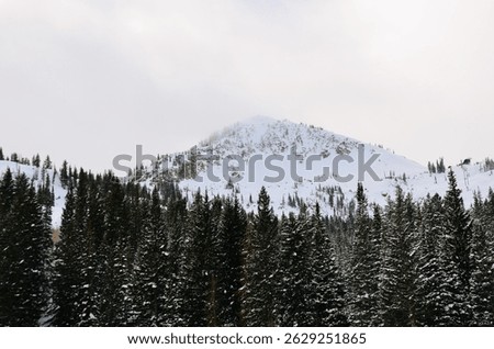 Mountain peak in the clouds with trees