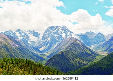 mountain peak and forest