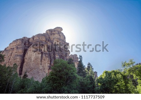 Image, Stock Photo ray of hope trees Shadow