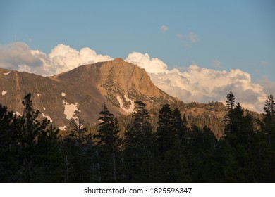 A mountain peak with pine trees in the foreground and puffy clouds and a blue sky in the background lit by the setting sun. 