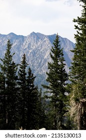 Mountain peak through the trees