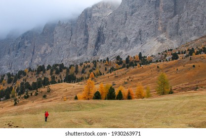 Saslonch High Res Stock Images Shutterstock