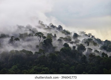 Mountain Petchaboon, Thailand