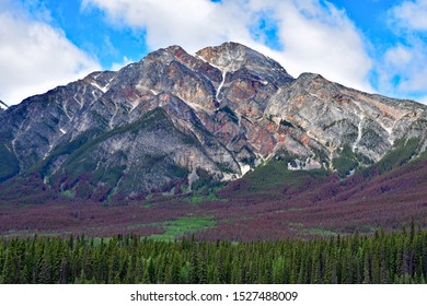 Mountain Pine Beetle Creates Colourful Scenery In Mountains