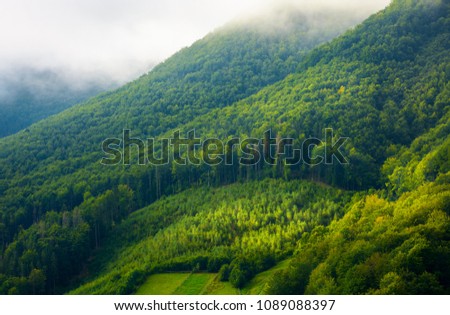 Similar – Image, Stock Photo Autumn forest and mountain lake