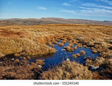 Mountain Pool / Peat Bog On The Moorland Of The Black Mountain Range, Wales, UK.