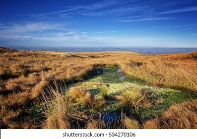 Mountain Pool / Peat Bog On The Moorland Of The Black Mountain Range, Wales, UK.