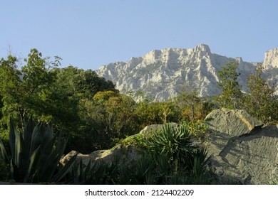 mountain range behind green trees