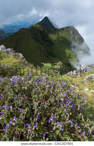 Mountain Range Chiang Mai Thailand Doi Stock Photo Edit Now - 