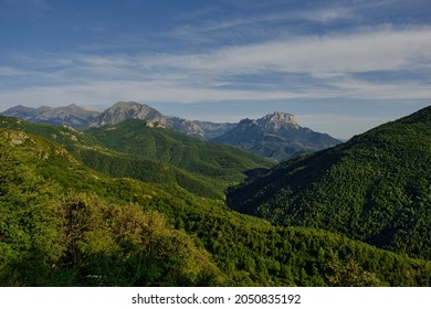 a mountain range covered with greenery