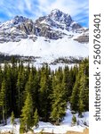 A mountain range covered in snow and trees. The trees are green and the snow is white. The sky is blue and there are no clouds