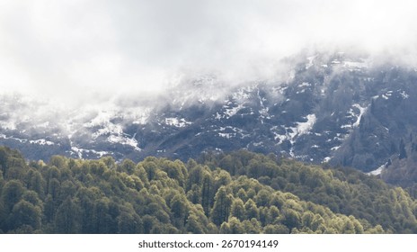 Mountain range covered in snow and trees. The trees are green and the snow is white. The sky is cloudy and the sun is not visible