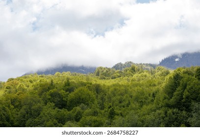 A mountain range covered in trees and a cloudy sky. The clouds are low and the sky is mostly clear
