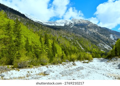 Mountain range with a deciduous, broadleaf forest in spring green foliage and alluvium bellow in Zadnja Trenta valley in Slovenia