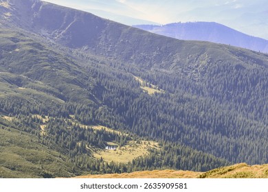 A mountain range with dense spruce forest and a small lake.